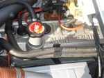 alpine_renault.jpg