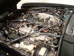 jaguar_015.jpg