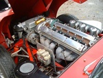jaguar_061.jpg