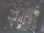 triumph__1_.jpg